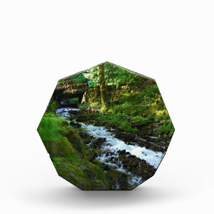 Runoff from Wahkeena Falls, OR Photo Block