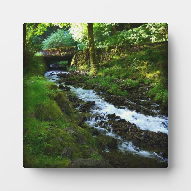 Runoff from Wahkeena Falls, OR Plaque (Front)