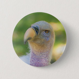 Rupell's Griffon Vulture 6 Cm Round Badge