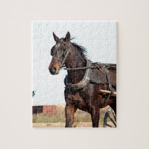 Rural Amish Horse and Buggy Jigsaw Puzzle
