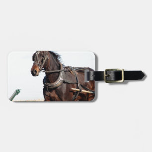 Rural Amish Horse and Buggy Luggage Tag