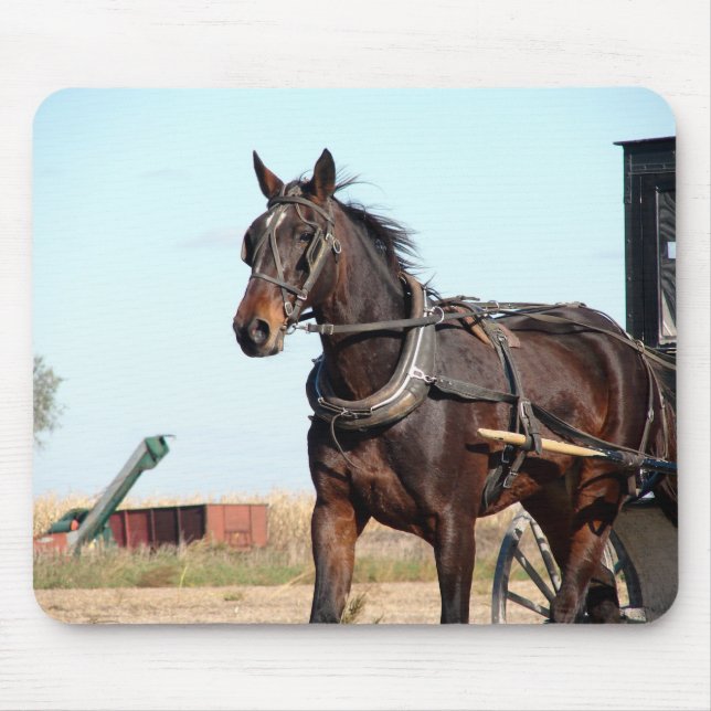 Rural Amish Horse and Buggy Mouse Mat (Front)