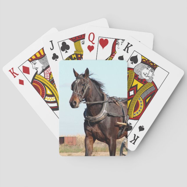 Rural Amish Horse and Buggy Playing Cards (Back)