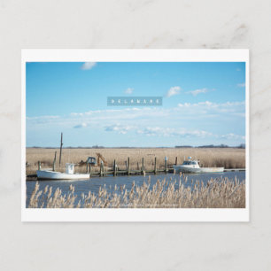 Rural and Wild Delaware. Postcard