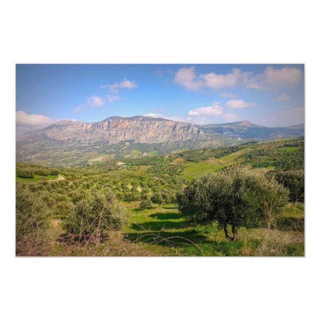 Rural Areas in Crete, Greece Photo Print (Front)