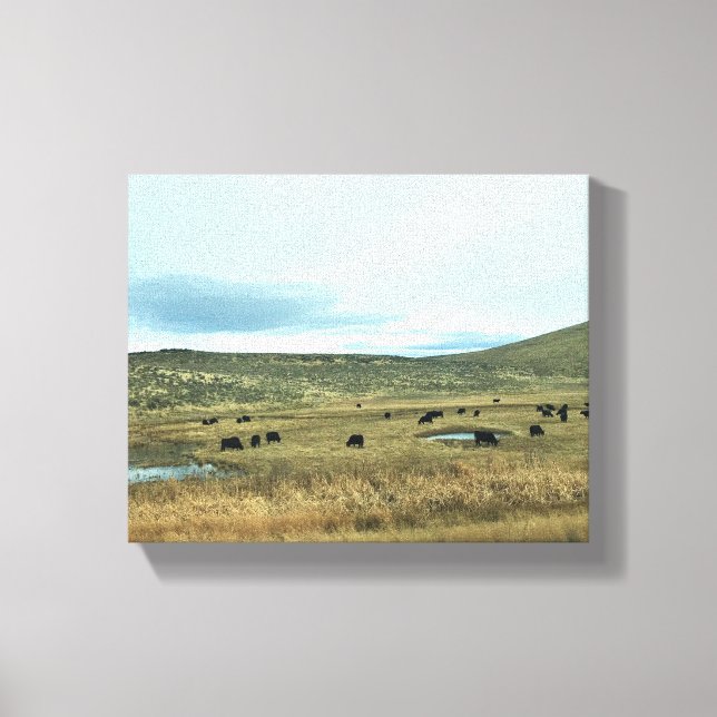 Rural Baker County, Oregon Canvas Print (Front)