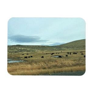 Rural Baker County, Oregon Magnet
