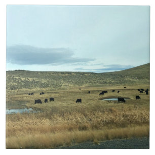 Rural Baker County, Oregon Tile