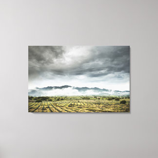Rural Crop Fields Under Cloudy Sky Canvas Print