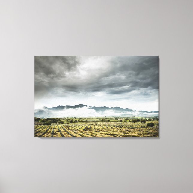 Rural Crop Fields Under Cloudy Sky Canvas Print (Front)
