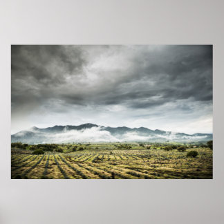Rural Crop Fields Under Cloudy Sky Poster