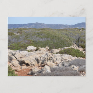 Rural Cyprus Nature Postcard