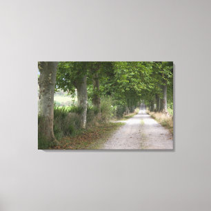 Rural dirt country road near the town of canvas print