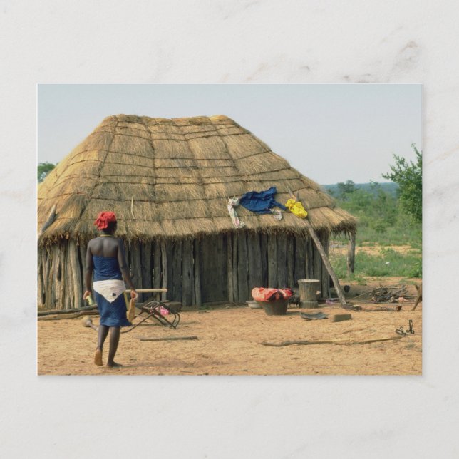 Rural family compound, Kunene, Angola Postcard (Front)