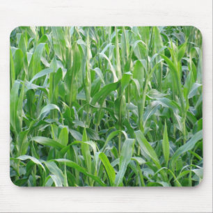 Rural Green Cornfield Background Mouse Mat