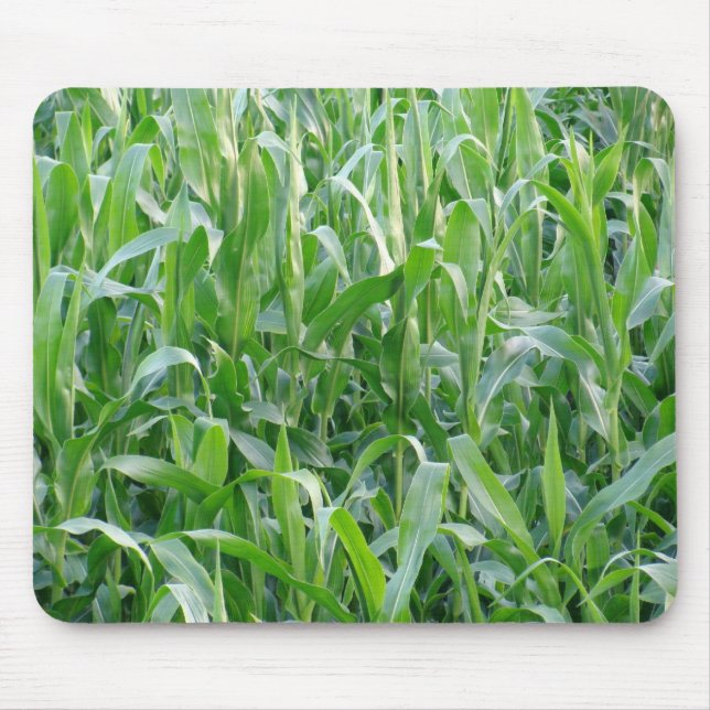 Rural Green Cornfield Background Photo Mouse Mat (Front)
