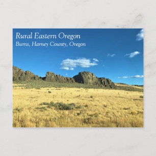 Rural Harney County, Burns, Oregon Postcard