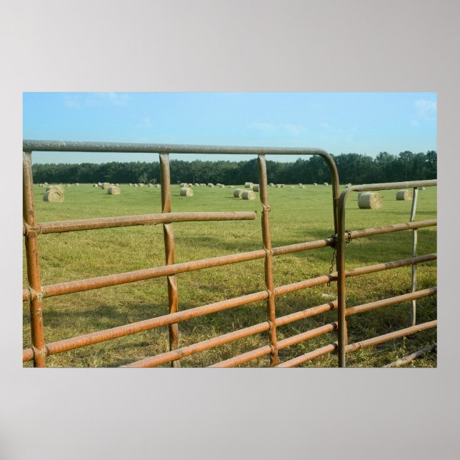 Rural Hay Field Print (Front)