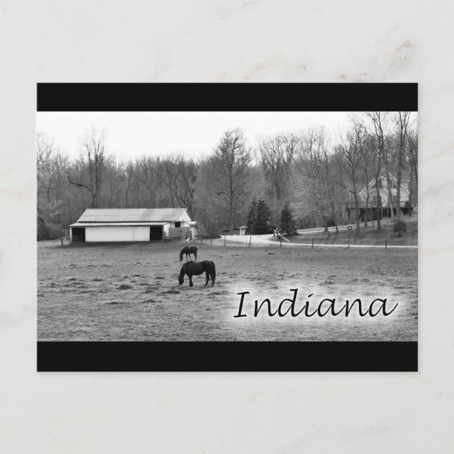 Rural Indiana Postcard (Front)