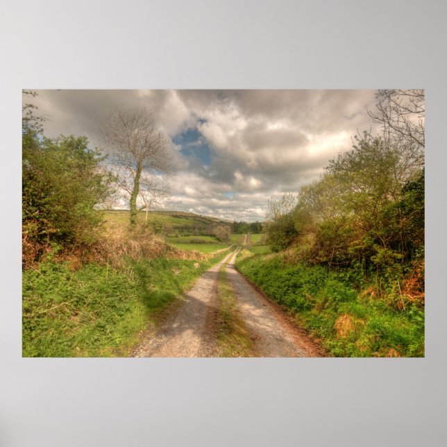 Rural Irish road Poster (Front)