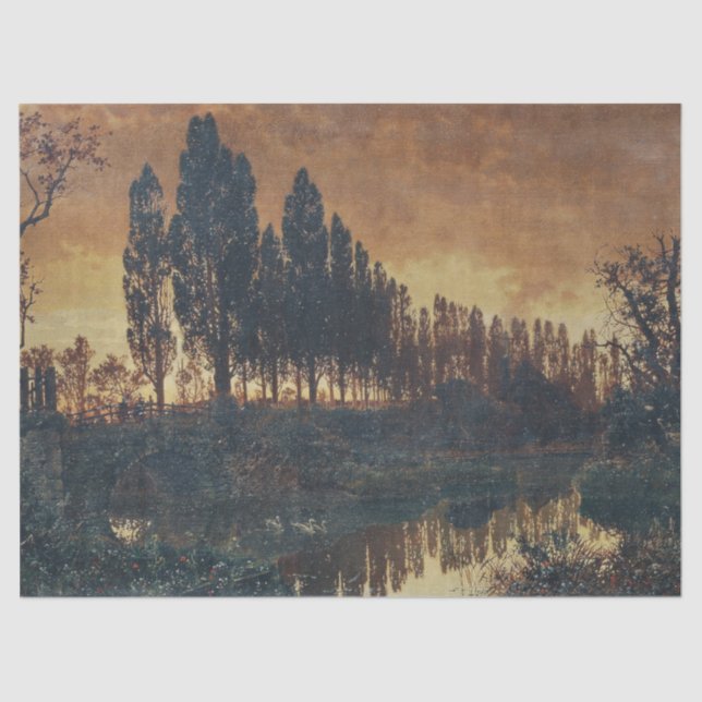 Rural Landscape in Bavaria (Germany) Tissue Paper (Front)