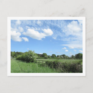 Rural Landscape in May Postcard