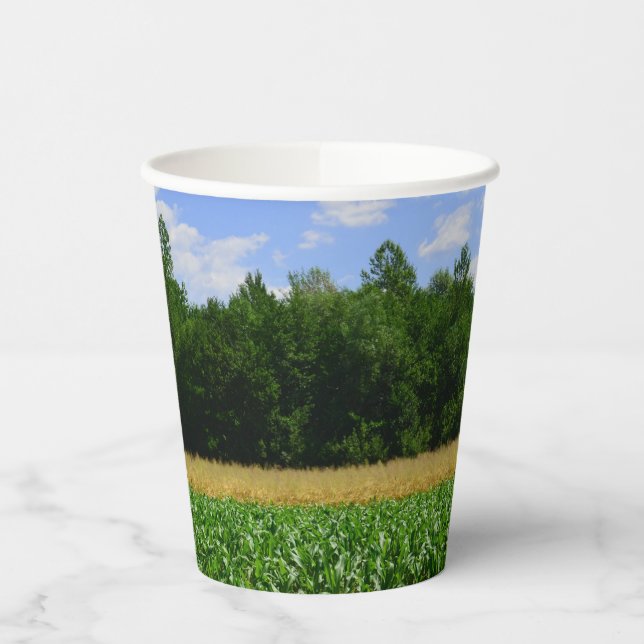 Rural landscape of a corn & wheat field & blue sky paper cups (Left)