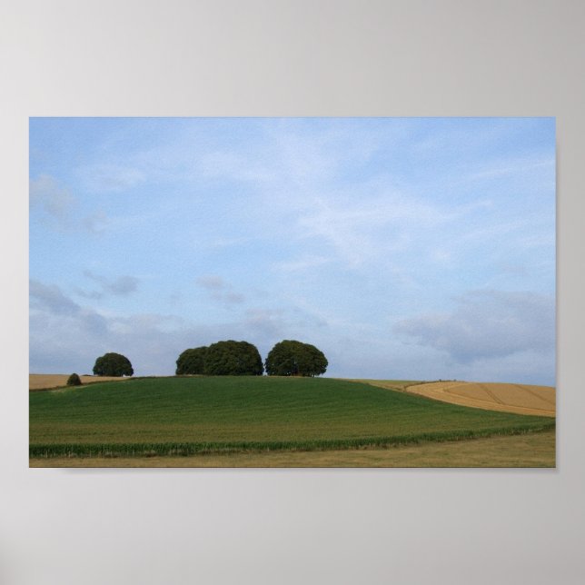 Rural Landscape Photo Print (Front)