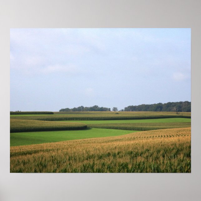 Rural Midwest Farm Field Landscape Colour 16x20 Poster (Front)