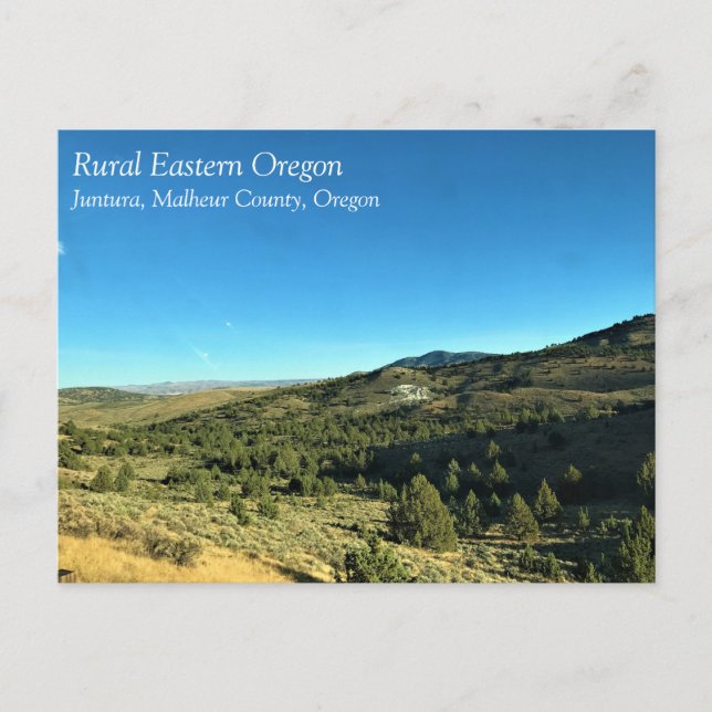 Rural Oregon, Juntura, Malheur County, Oregon Postcard (Front)