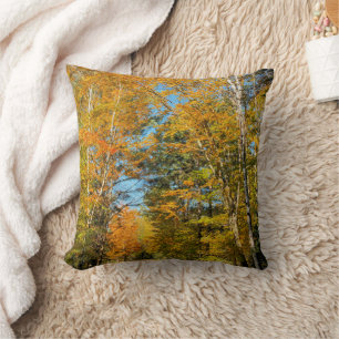 Rural Road Autumn Colors New Hampshire Cushion
