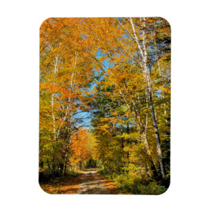 Rural Road Autumn Colours New Hampshire Magnet