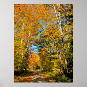Rural Road Autumn Colours New Hampshire Poster