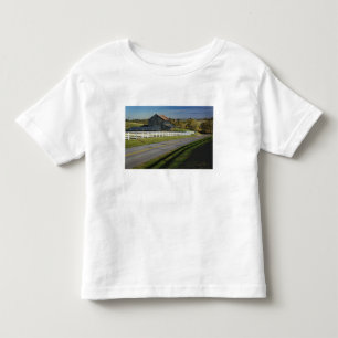 Rural road through Bluegrass region of 2 Toddler T-Shirt