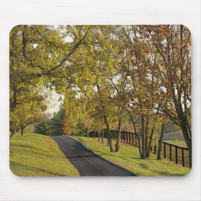 Rural road through Bluegrass region of Kentucky 2 Mouse Mat (Front)