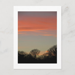 Rural Sunset (Winter): Cheshire, England Postcard