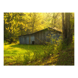 Rural Tennessee Spring Morning Light Photo Print