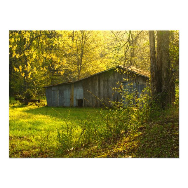 Rural Tennessee Spring Morning Light Photo Print (Front)
