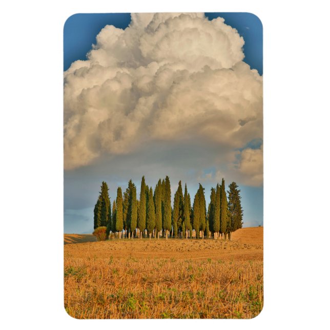 Rural Tuscany Cypress Trees Magnet (Vertical)