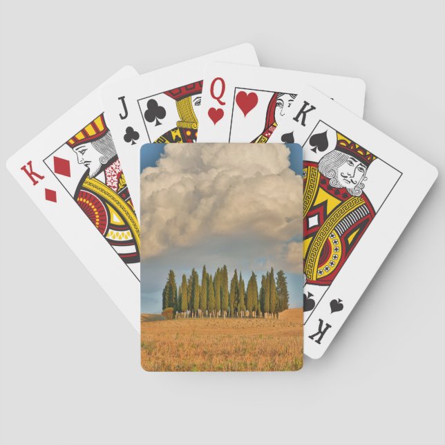 Rural Tuscany Cypress Trees Playing Cards (Back)
