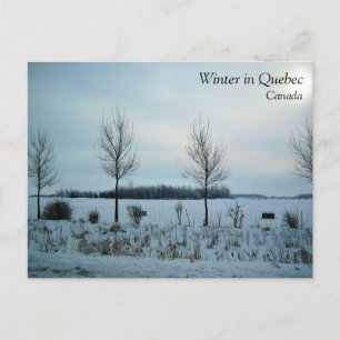 Rural View in Quebec, Canada Postcard