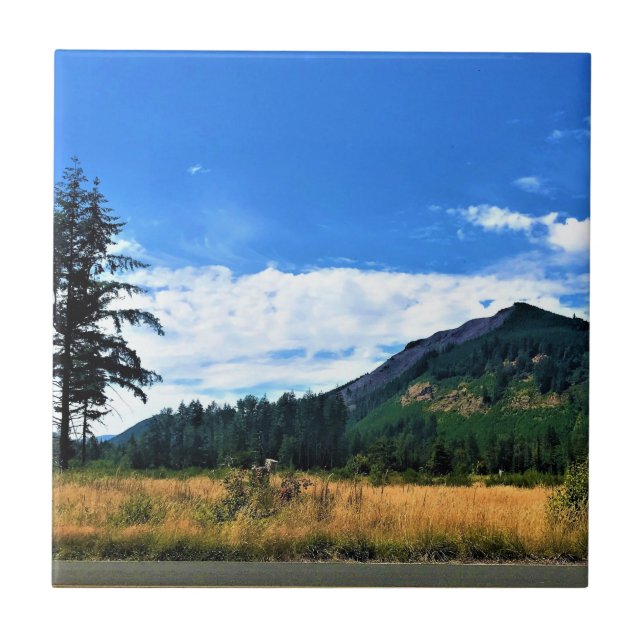 Rural Washington, Randle, WA Tile (Front)