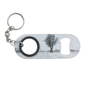Rural winter road