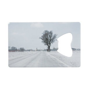 Rural winter road