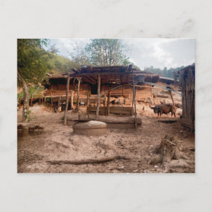 Rural Wooden Village Hut with Animals, Laos Postcard
