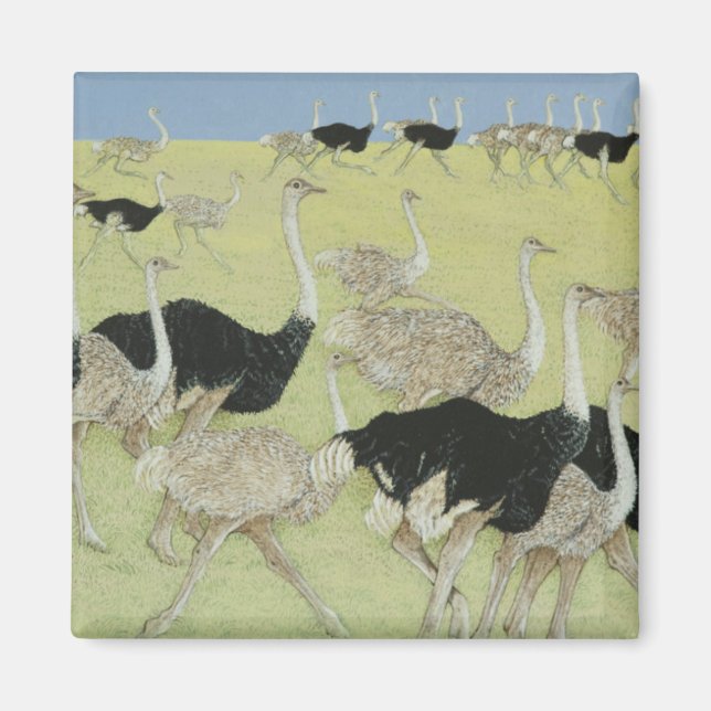 Rush hour magnet (Front)