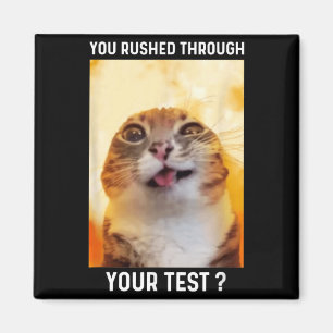 Rushed Through Test Funny Test Day Teacher Cat Magnet