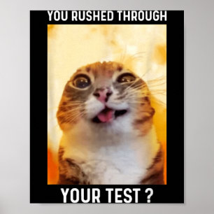 Rushed Through Test Funny Test Day Teacher Cat Poster
