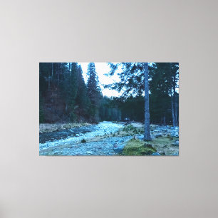 Rushing Mountain Stream – Wild Nature Romania Canvas Print