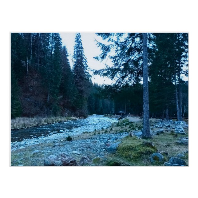 Rushing Mountain Stream – Wild Nature Romania Poster (Front)